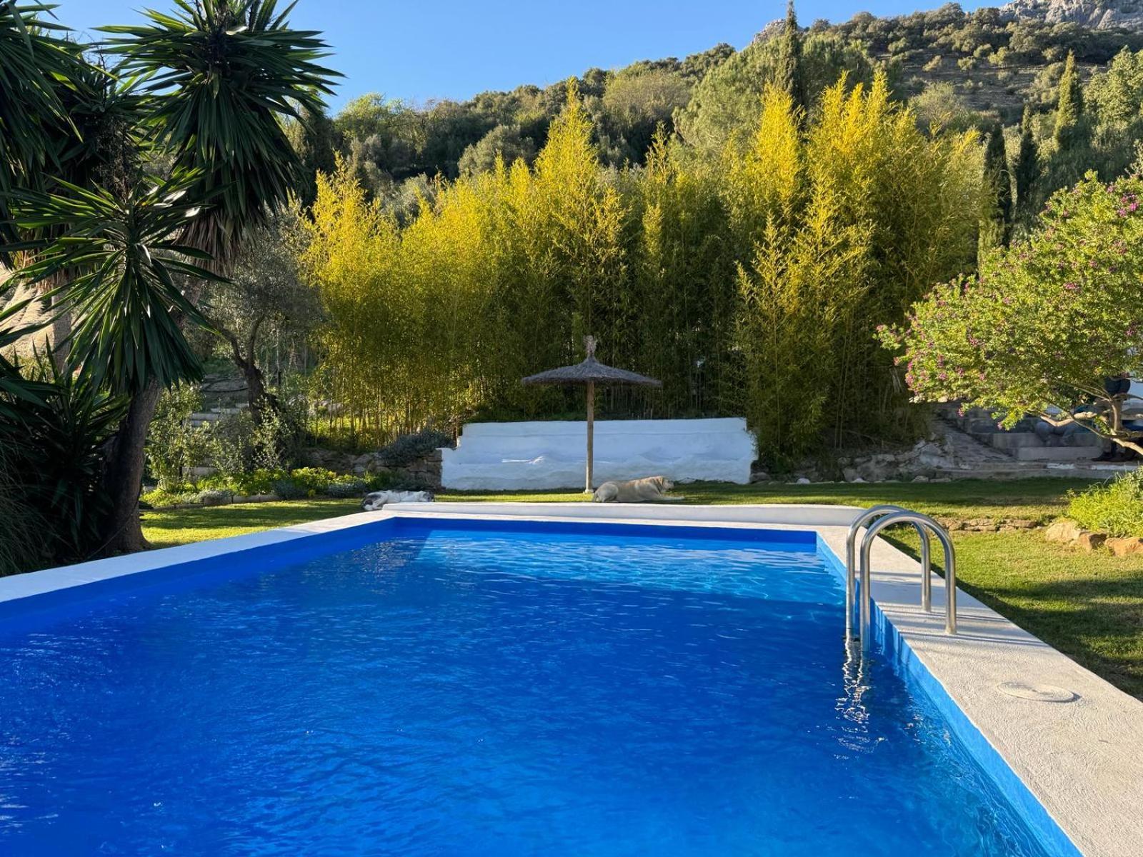 La Fontana Villa Cortes de la Frontera Exterior foto