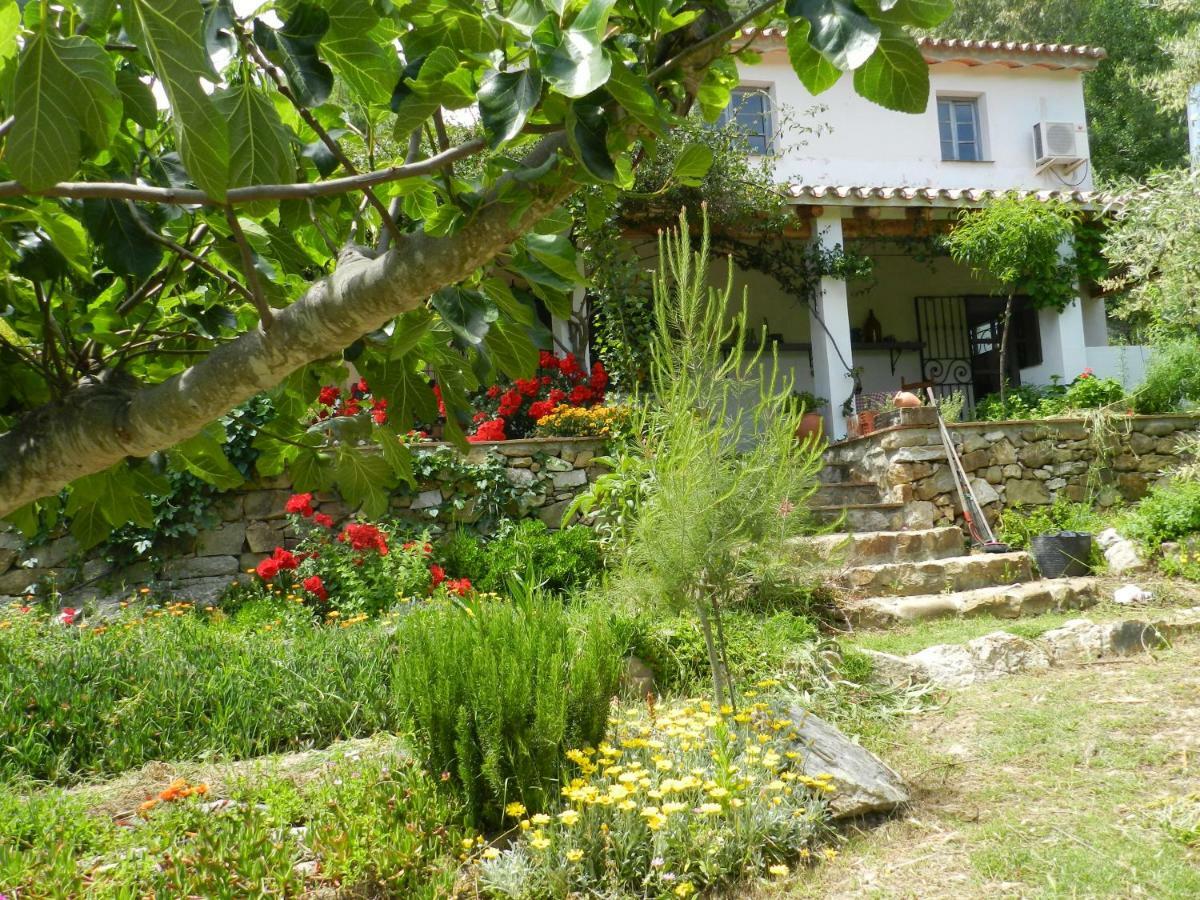 La Fontana Villa Cortes de la Frontera Exterior foto